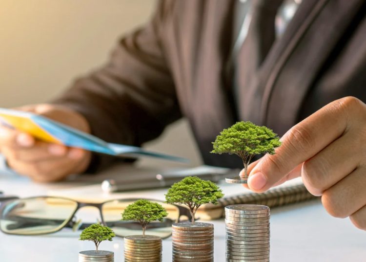 Investing for Beginners: Must-Have Tips to Start with $50 Easily