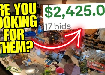 Top 10 Profitable Items to Look for in 2025 at Thrift Stores and Garage Sales